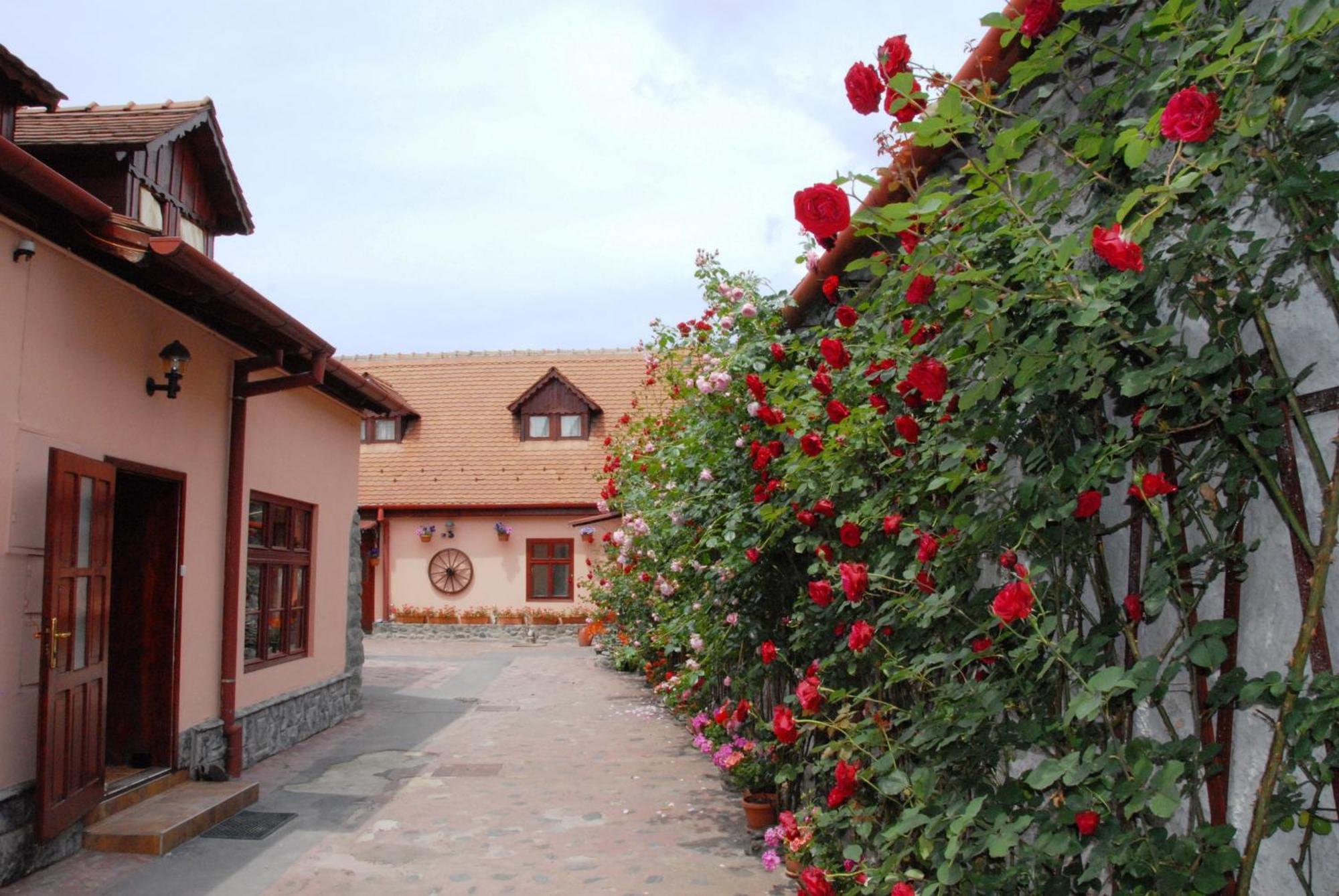 Pension Ela Sibiu Exteriör bild